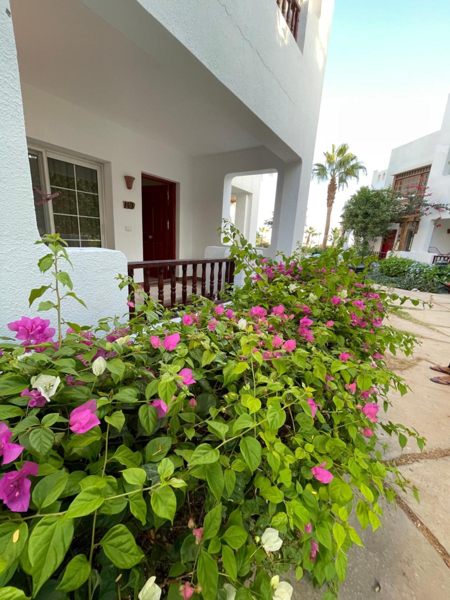 Delta Sharm Apartments With Free Internet Wi-Fi Exteriör bild